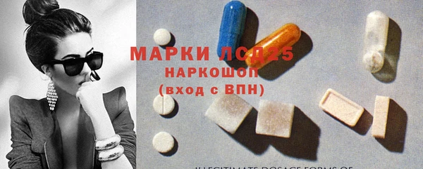 ECSTASY Медвежьегорск