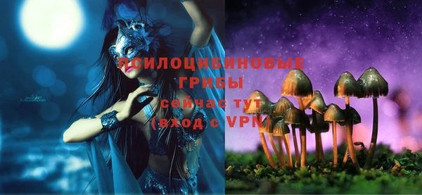 винт Медногорск