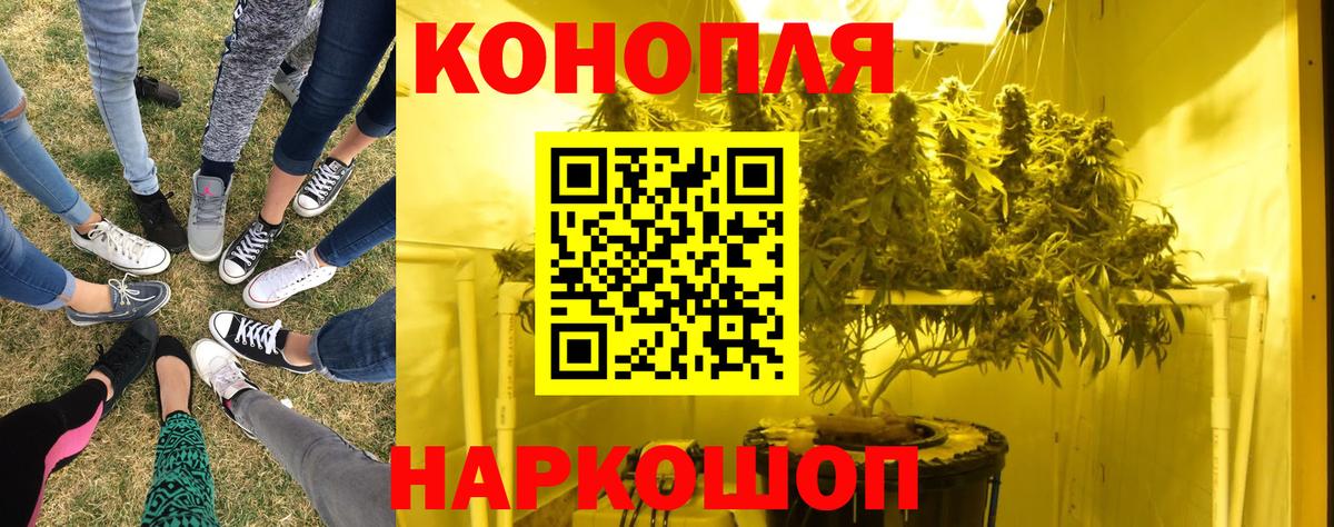 Конопля THC 21%  Вход с VPN  Партизанск  Марихуана сатива  МАРИХУАНА OG Kush  Бошки Шишки семена 